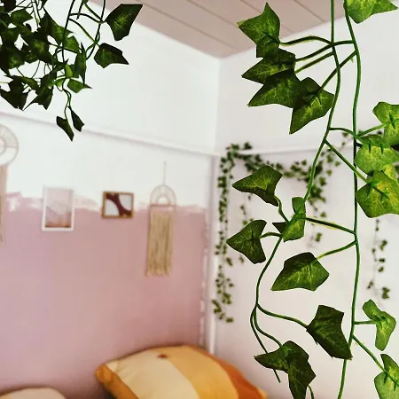 Apartment Zentrale Gemuetliche Naehe Bahnhof Schwaebisch Hall