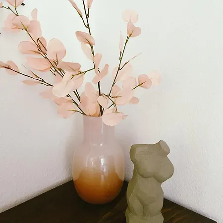 Apartment Zentrale Gemuetliche Naehe Bahnhof Schwaebisch Hall